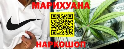 амф Гусев